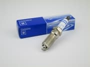 OEM SPARK PLUG 12622561