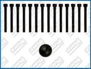 OEM CYLINDER HEAD BOLT SE 81008900