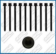 OEM CYLINDER HEAD BOLT SE 81019700