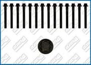 OEM CYLINDER HEAD BOLT SE 81028300