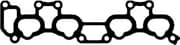 OEM INTAKE-EXHAUST GASKET 13100400