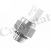 OEM SENSOR ASSY, TEMPERATURE TS2442