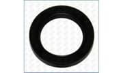 OEM SEAL RING 15045300