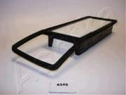 OEM FILTER ASSY, AIR ELEMENT 2004434