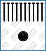 OEM CYLINDER HEAD BOLT SE 81008700