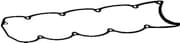 OEM ROCKER COVER GASKET 11009200