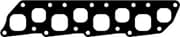 OEM INTAKE-EXHAUST GASKET 13051700