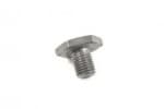 OEM BOLT, METAL LR004304