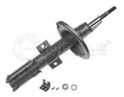 OEM SUSPENSION STRUT ASSEMBLY 5266230003