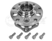 OEM WHEEL BEARING KIT RR AXL/A6/VW 1007520001