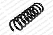 OEM COIL SPRING 4256833