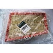 OEM AIR FILTER 8200371661