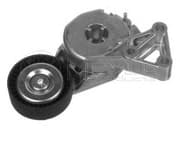 OEM BELT TENSIONER 1009030000