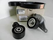 OEM BELT WITH PULLEY KIT 117206170R