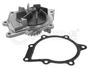 OEM Water Pump 11132200021