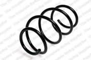 OEM COIL SPRING 4008447