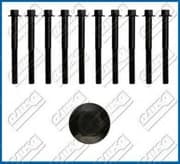 OEM CYLINDER HEAD BOLT SE 81012600