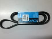 OEM BELT, V 6PK1815