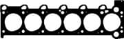 OEM CYL. HEAD GASKET 10040020