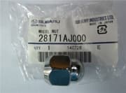 OEM NUT, METAL 28171AJ000