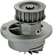 OEM WATER PUMP ASSY A310001P