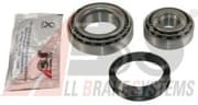 OEM Wheel Bearing Kit/ABS 200061