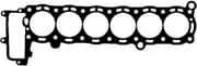 OEM CYL. HEAD GASKET 10061200