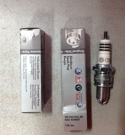 OEM SPARK PLUG 101000036AB