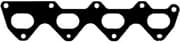 OEM GASKET, RUBBER 490240