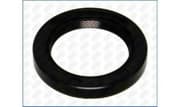 OEM SEAL RING 15012000