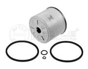 OEM FILTER ASSY, FUEL PUMP 1003230007