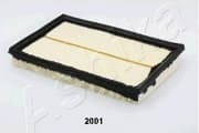 OEM FILTER ASSY, AIR ELEMENT 20022001