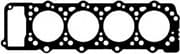 OEM CYL. HEAD GASKET 10095610