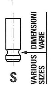 OEM VALVE, INTAKE R6462SCR