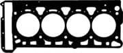 OEM GASKET, CYLINDER HEAD METAL 613747500