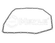 OEM GASKETS TRAY 1003210017