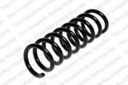 OEM COIL SPRING 4256849