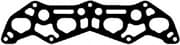 OEM INTAKE-EXHAUST GASKET 13095500