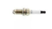 OEM SPARK PLUG OE123T10