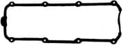 OEM GASKET RUBBER SEAL 713169200