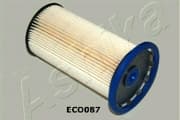 OEM FILTER ASSY, FUEL PUMP 30ECO087