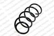 OEM COIL SPRING 4008465