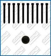 OEM CYLINDER HEAD BOLT SE 81017200