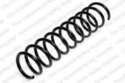 OEM COIL SPRING 4295826