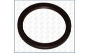 OEM SEAL RING 15077900