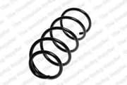 OEM COIL SPRING 4008466