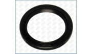 OEM SEAL RING 15048500