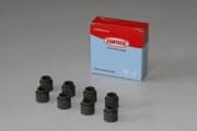 OEM SEAL KIT, VALVE STEM OIL 19020515