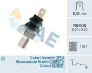 OEM SENSOR ASSY, TEMPERATURE 12970