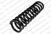 OEM COIL SPRING 4056815